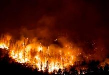 Hallan a dos personas calcinadas tras catastróficos incendios en California Hallan a dos personas calcinadas tras catastróficos incendios en California