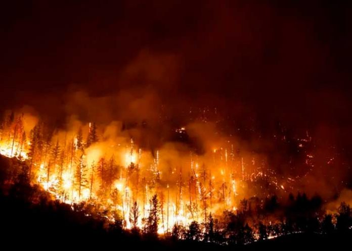 Hallan a dos personas calcinadas tras catastróficos incendios en California