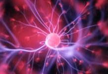 Insólito: Descubren material capaz de aprender como el cerebro humano El material puede aprender y recordar como el cerebro