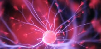 El material puede aprender y recordar como el cerebro 