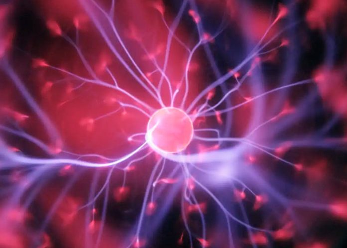 cerebro El material puede aprender y recordar como el cerebro