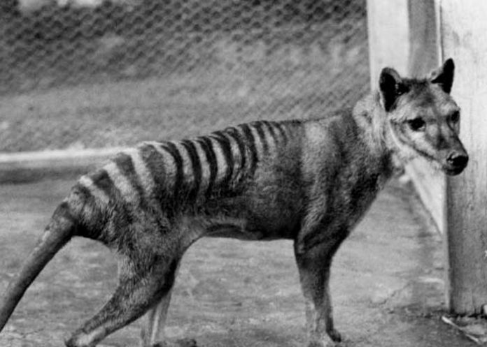 ¡Se creen Dios! Desafiante proyecto de 