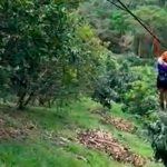 ¡Trágico! Menor muere tras lanzarse de tirolesa en parque en Colombia ¡Trágico! Menor muere tras lanzarse de tirolesa en parque en Colombia