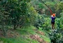 ¡Trágico! Menor muere tras lanzarse de tirolesa en parque en Colombia ¡Trágico! Menor muere tras lanzarse de tirolesa en parque en Colombia