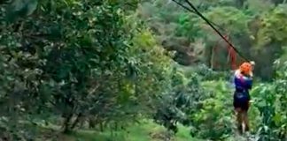 ¡Trágico! Menor muere tras lanzarse de tirolesa en parque en Colombia
