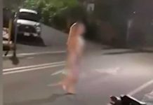 En "pelotas" quedó una mujer en Costa Rica tras un bochinche (VIDEO)