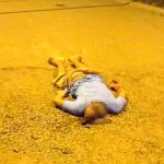 Como «colador» dejan a otro pinolero en plena vía pública en Costa Rica Como "colador" dejan a otro nica en plena vía pública en Costa Rica