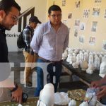 Granada se embellece con visita de la Comisión de Economía Creativa Granada, Ciudad Creativa, se sigue desarrollando