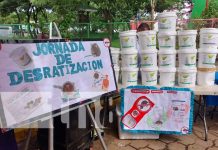 Desratización llega al Mercado Mayoreo, Managua Jornada de desratización en el Mercado Mayoreo, Managua