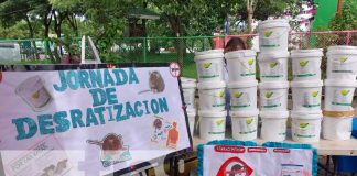 Jornada de desratización en el Mercado Mayoreo, Managua
