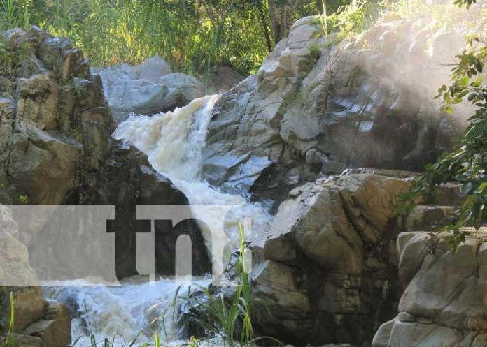 Visita del CAPS a la cuenca del Río Dipilto