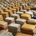 ¡Clase plátano! de cocaína incautan en Ecuador con destino a Europa ¡Clase plátano! de cocaína incautan en Ecuador con destino a Europa