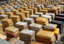 ¡Clase plátano! de cocaína incautan en Ecuador con destino a Europa ¡Clase plátano! de cocaína incautan en Ecuador con destino a Europa