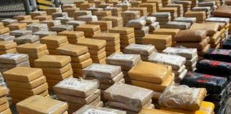 ¡Clase plátano! de cocaína incautan en Ecuador con destino a Europa