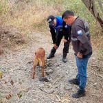 ¡De terror! Encuentran fosa común con restos humanos en Ecuador ¡De terror! Encuentran fosa común con restos humanos en Ecuador