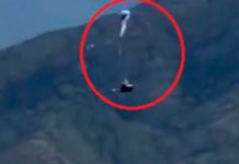Vivo de milagro paracaidista tras un error en pleno vuelo en España Vivo de milagro paracaidista tras un error en pleno vuelo en España
