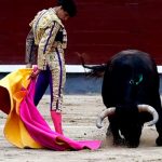 ¡Le penetró el alma! Toro entierra cuerno a un hombre en España (VIDEO) ¡Le penetró el alma! Toro entierra cuerno a un hombre en España (VIDEO)