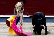¡Le penetró el alma! Toro entierra cuerno a un hombre en España (VIDEO) ¡Le penetró el alma! Toro entierra cuerno a un hombre en España (VIDEO)