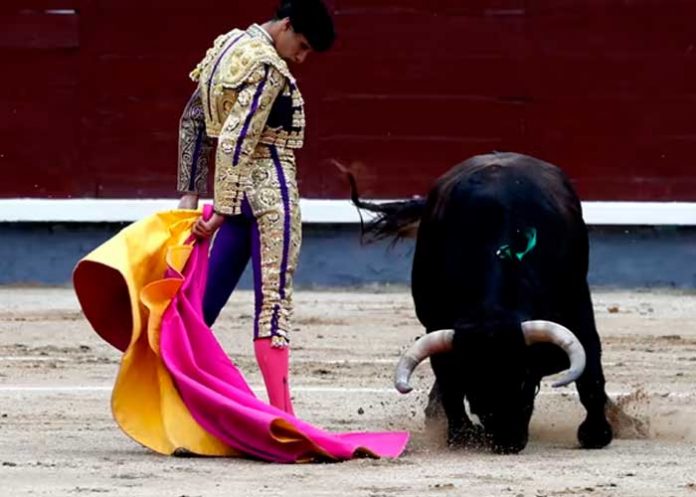 ¡Le penetró el alma! Toro entierra cuerno a un hombre en España (VIDEO)