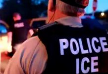 ¡Indignante! Agente de la «migra» pisotea en el cuello a migrante ¡Indignante! Agente de la "migra" pisotear en el cuello a migrante