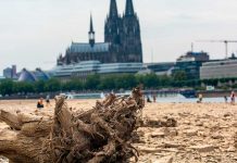 Advierten estragos apocalípticos en Europa tras sufrir la peor sequía en años