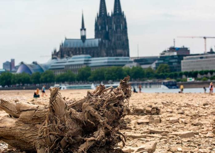 Advierten estragos apocalípticos en Europa tras sufrir la peor sequía en años