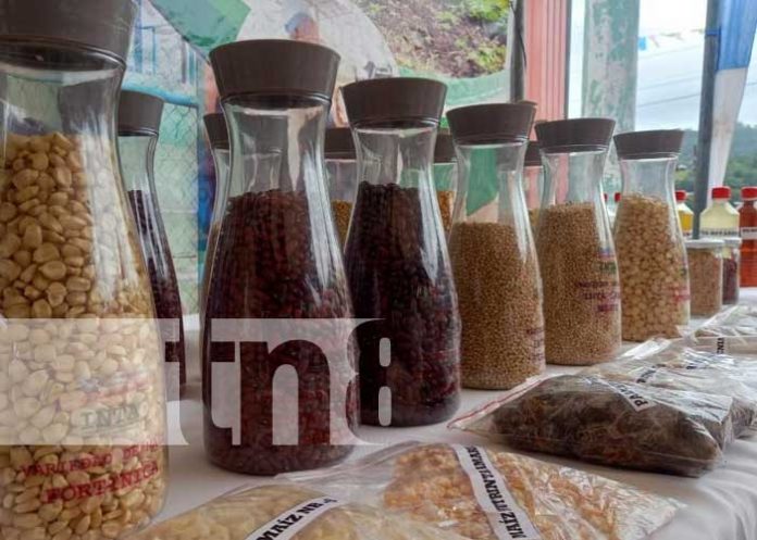 expo-boaco-3 Realizan la Expo Bioinsumo en Boaco