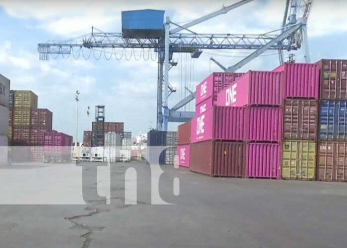 exportacion-112 Actividad en puertos comerciales de Nicaragua