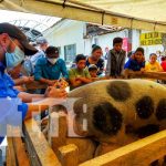 Exitosa Feria Departamental de la Producción en Ocotal, Nueva Segovia Feria productiva en Ocotal, Nueva Segovia