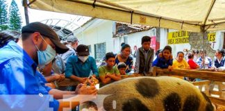 Feria productiva en Ocotal, Nueva Segovia
