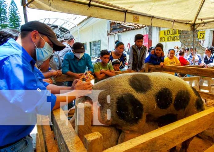 Feria productiva en Ocotal, Nueva Segovia