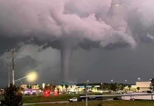 Desata el pánico catastrófico fenómeno natural en las playas de Florida Desata el pánico catastrófico fenómeno natural en las playas de Florida