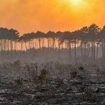 Alerta en Francia tras la escasez de recurso por la potente ola de calor