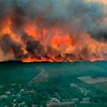 Incendios forestales arrasan con Francia debilitada por la sequía