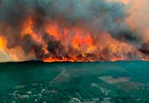 Incendios forestales arrasan con una Francia debilitada por la sequía Incendios forestales arrasan con Francia debilitada por la sequía