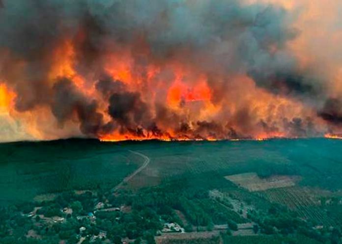 francia1 Incendios forestales arrasan con Francia debilitada por la sequía
