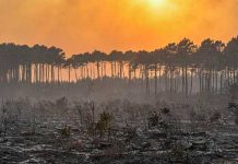 Alerta en Francia tras la escasez de recurso por la potente ola de calor Alerta en Francia tras la escasez de recurso por la potente ola de calor