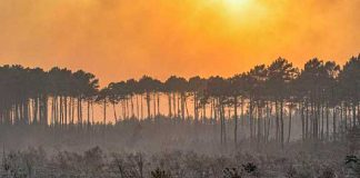 Alerta en Francia tras la escasez de recurso por la potente ola de calor