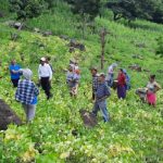 Gobierno de Nicaragua presenta en Matagalpa variedad de frijol INTA Gobierno de Nicaragua, presentó a pequeños productores nuevas variedades de frijol