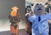 Arrojan peluche demasiado fuerte y golpean a Lady Gaga