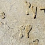 ¿Huellas fantasmales? Arqueólogos las encuentran en Estados Unidos Continúan analizando huellas en Estados Unidos