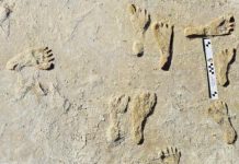 ¿Huellas fantasmales? Arqueólogos las encuentran en Estados Unidos Continúan analizando huellas en Estados Unidos