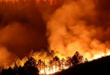 ¡Agonizantes días para la tierra! mortales incendios devastan España