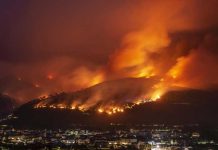Noches infernales en España: 10 mil hectáreas afectadas por incendio Fuertes incendios forestales azotan a España