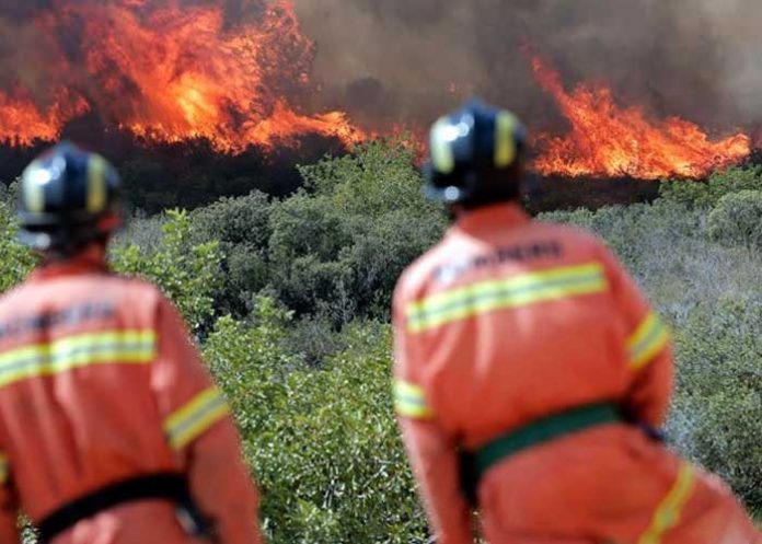 Fuertes incendios forestales al este de España