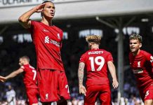liverpool, darwin, premier, inglaterra, futbol,