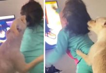 Madre graba a su hija en TikTok mientras es atacada por un perro La madre prefirió grabar en TikTok y reírse de su hija