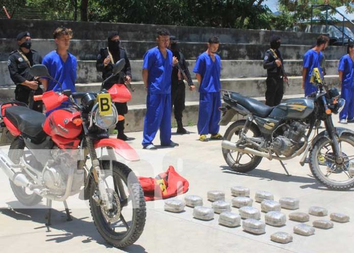 Incautación de marihuana en San Fernando, Nueva Segovia