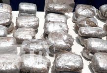 Policía asesta duro golpe al narcotráfico en dos municipios de Matagalpa Policía asesta duro golpe al narcotráfico en dos municipios de Matagalpa
