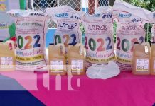 MINED Tipitapa recibe la merienda escolar para su distribución Distribución de la merienda escolar en colegios de Tipitapa